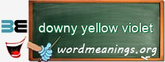 WordMeaning blackboard for downy yellow violet